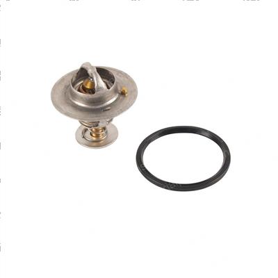 Picture of Thermostat and Seal