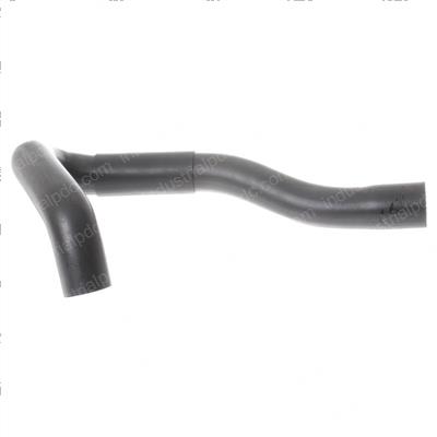 Picture of Hose  Lower G