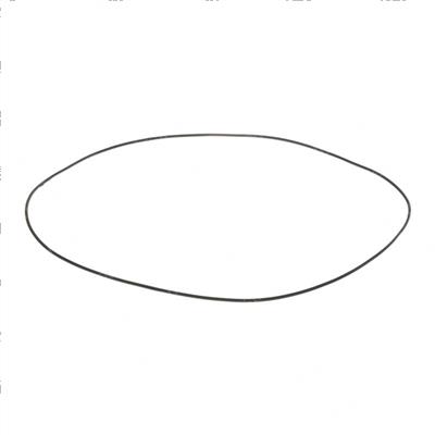 Picture of O-Ring