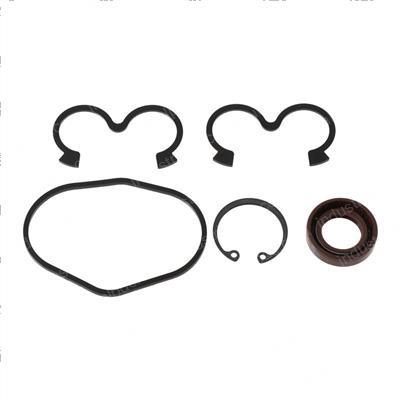 Picture of Repair Kit - Gear Pump