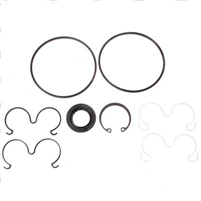 Picture of Seal Kit- Pump