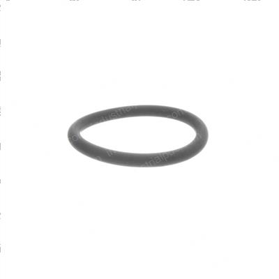 Picture of O-Ring