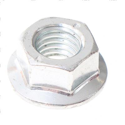 Picture of Nut-Alternat