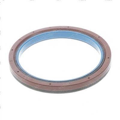 Picture of Seal,front E S