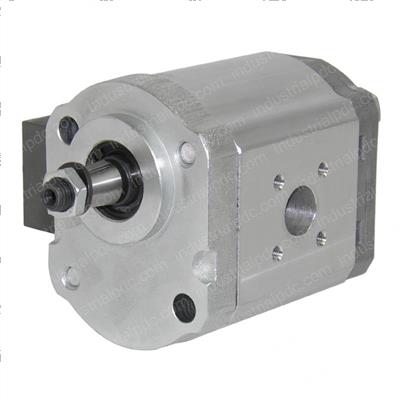 Picture of Pump-Gear