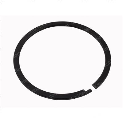 Picture of Ring - Lock 1o"