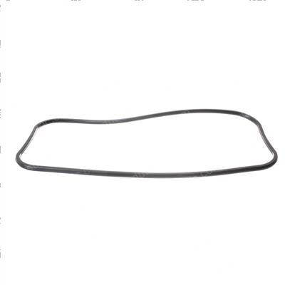 Picture of Gasket