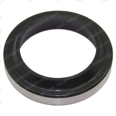 Picture of Wiper-Piston Rod