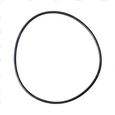 Picture of O-Ring
