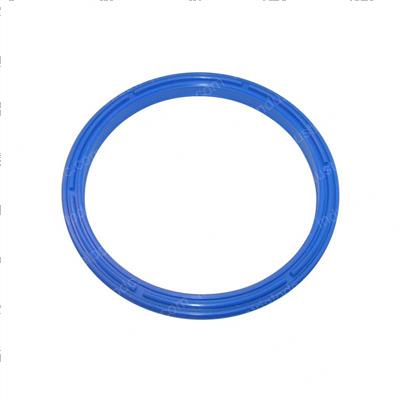 Picture of Seal