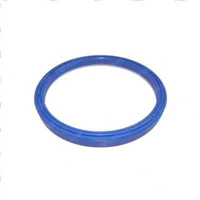 Picture of Seal