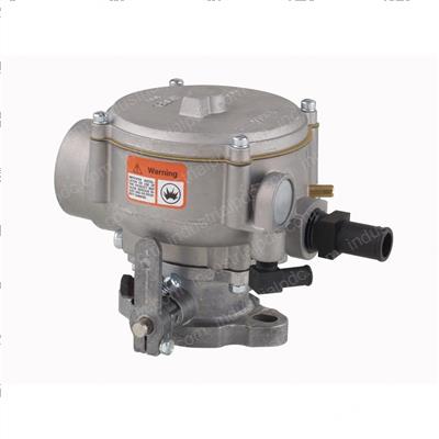 Picture of Carburetor - Lpg