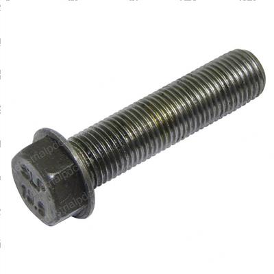 Picture of Screw 800030276