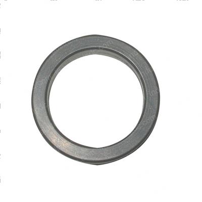 Picture of Seal