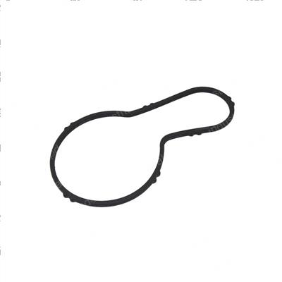 Picture of Seal