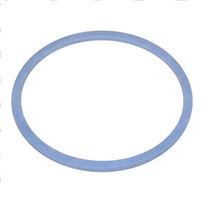 Picture of Seal Ring (cylinder