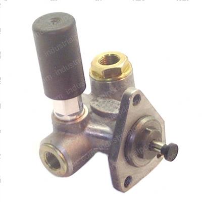 Picture of Pump-Fuel Feed 800031644