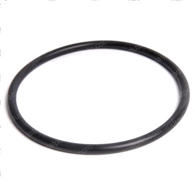 Picture of O-Ring