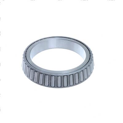 Picture of Cone-Bearing