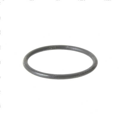 Picture of O-Ring