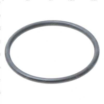 Picture of O-Ring (servo Contro