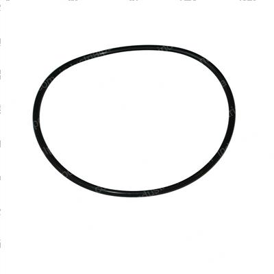 Picture of O-Ring