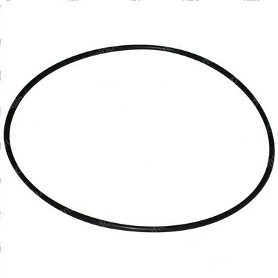 Picture of O-Ring