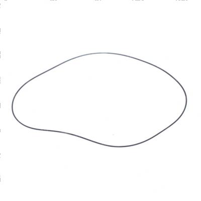 Picture of O-Ring