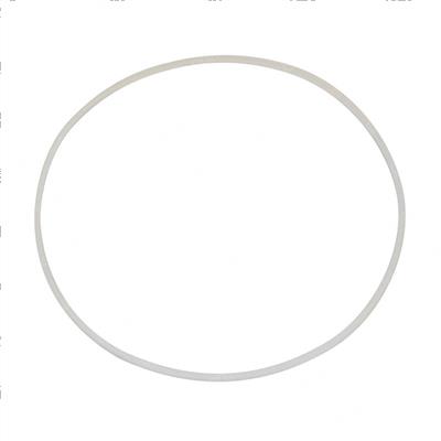 Picture of Ring-Seal-Pi