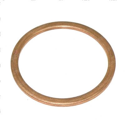Picture of Seal