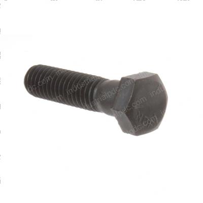 Picture of Bolt