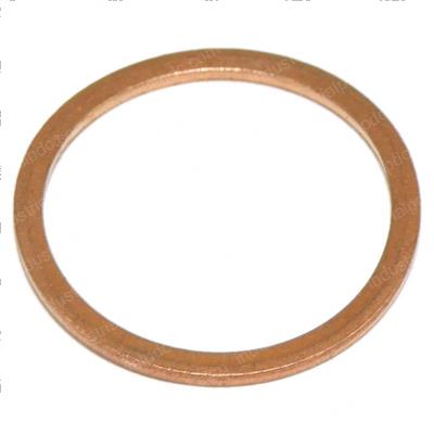 Picture of Seal Ring-Fuel Pump