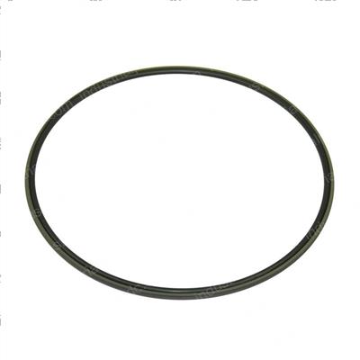 Picture of Seal
