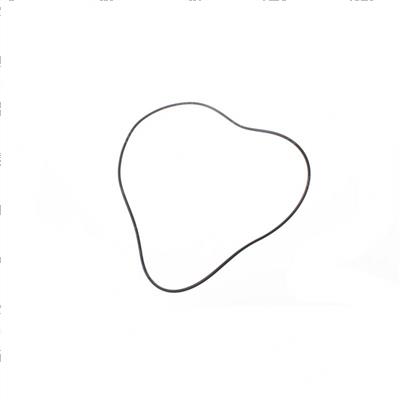 Picture of O-Ring