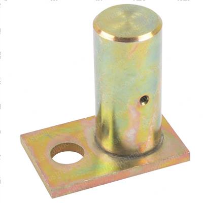 Picture of Pin