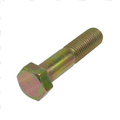 Picture of Bolt