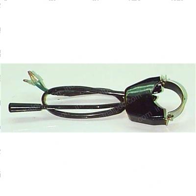 Picture of Switch - Flasher