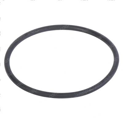 Picture of O - Ring