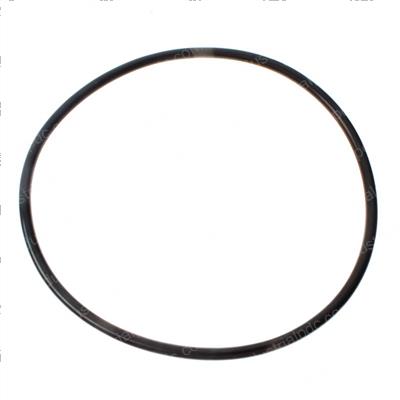 Picture of O-Ring