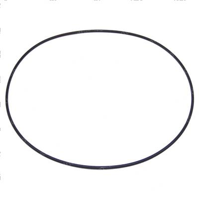 Picture of O-Ring