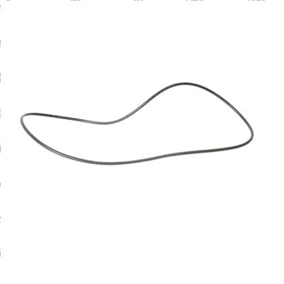 Picture of O-Ring