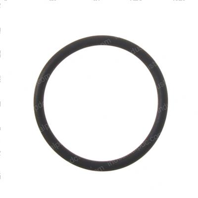 Picture of O-Ring