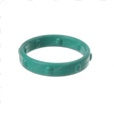 Picture of Seal - Special