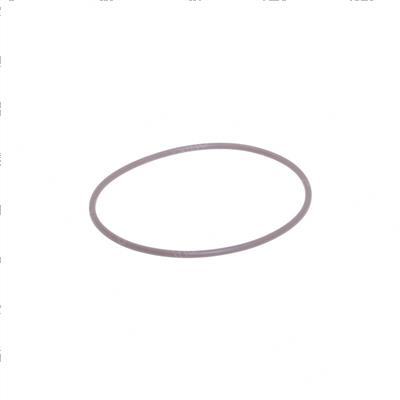 Picture of O-Ring