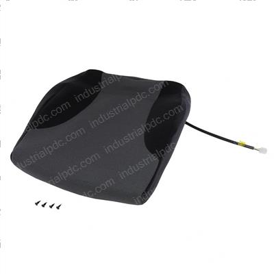 Picture of Seat Cushion Bottom