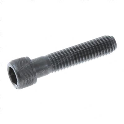 Picture of Screw