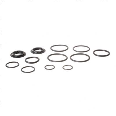 Picture of Seal Kit