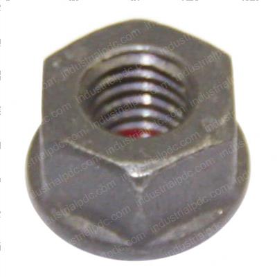 Picture of Nut