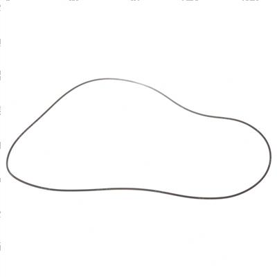 Picture of O- Ring