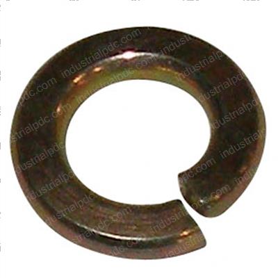 Picture of Washer - Spring